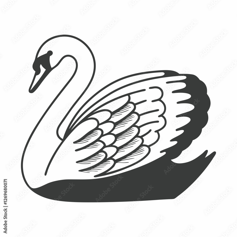 Fototapeta premium black swan on white