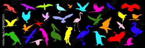 Set of vector colored silhouettes of birds on black background, various bird silhouettes, illustration of flying, sitting birds, suitable for nature, wildlife design