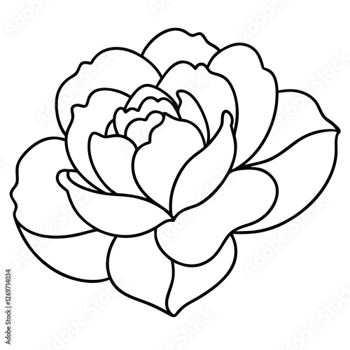 Simple outline drawing of a blooming flower with detailed petals and smooth contours