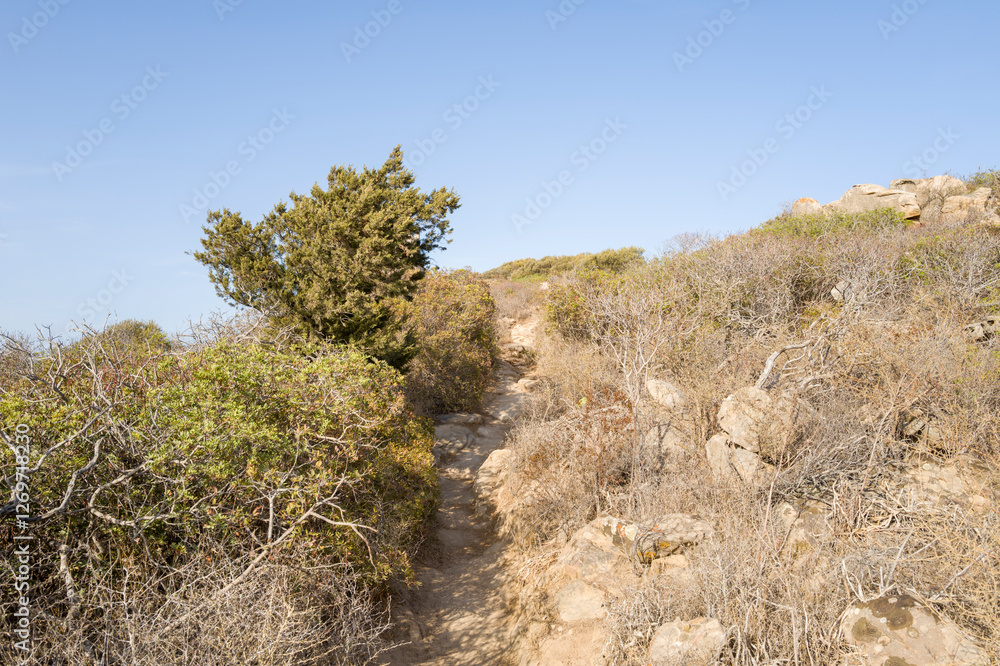 The path to Spiaggia di Porto Giunco in Europe, Italy, Sardinia, Cala Caterina, in summer, on a sunny day. The path to Spiaggia di Porto Giunco in Europe, Italy, Sardinia, Cala Caterina, in summer, on a sunny day.