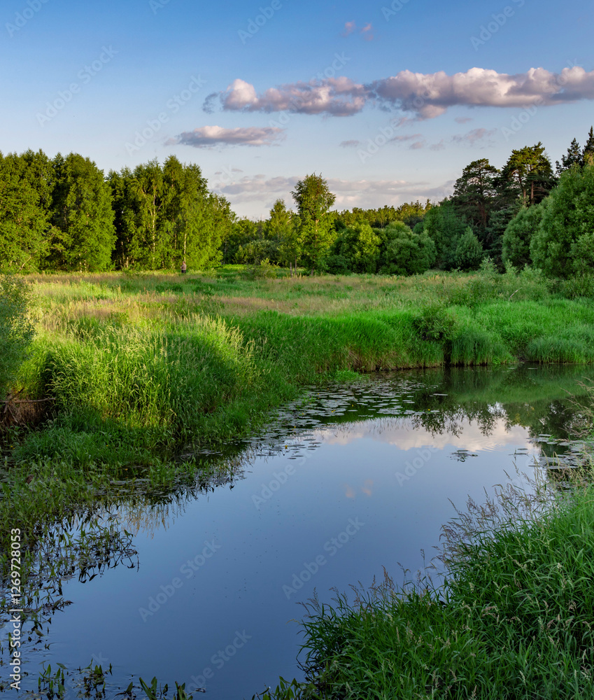 Fototapeta premium Calm body of water with a few trees in the background