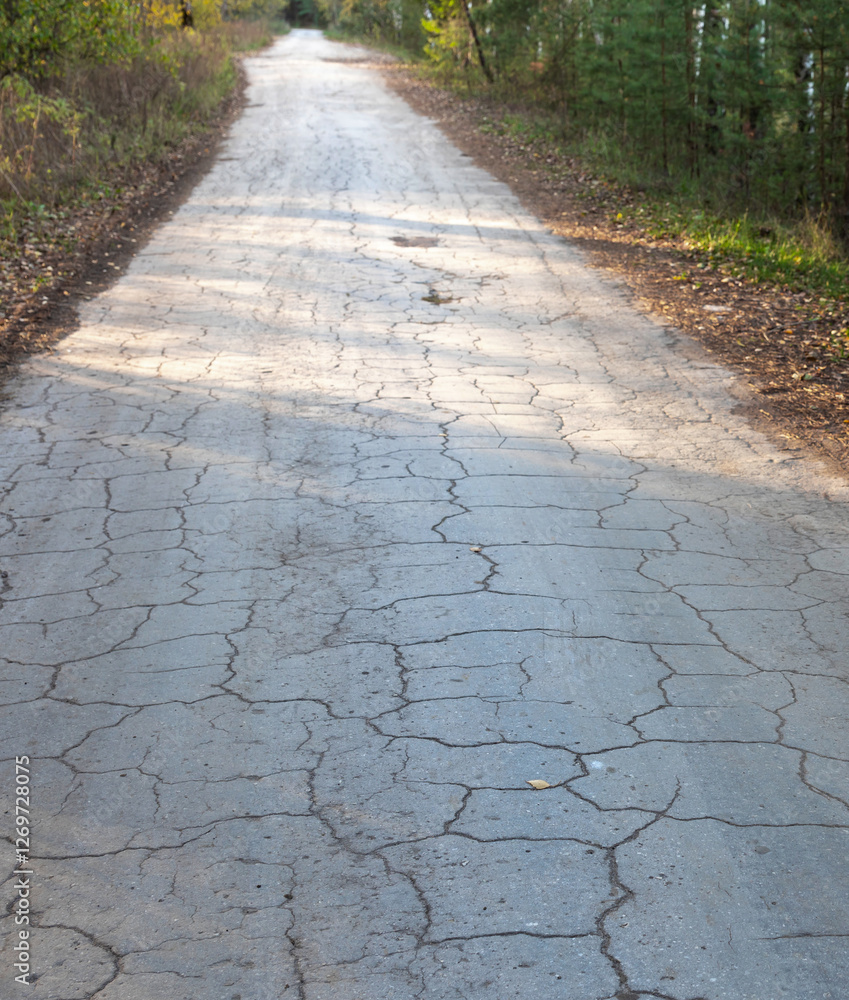 Fototapeta premium Road with cracks and potholes