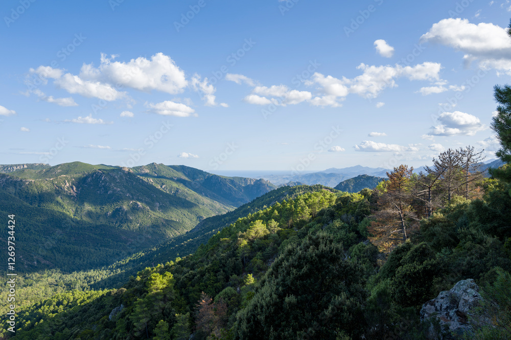 The Sardinian countryside between Baunei and Dorgali in Europe, Italy, Sardinia, Baunei, in summer, on a sunny day. The Sardinian countryside between Baunei and Dorgali in Europe, Italy, Sardinia, Baunei, in summer, on a sunny day.