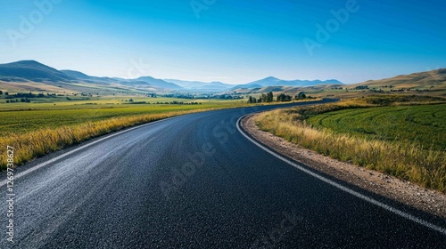 Winding Asphalt Road Stretching Through Vast Green Landscape