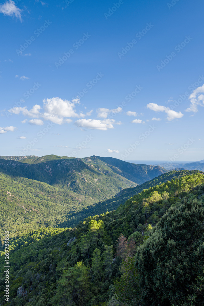 The Sardinian countryside between Baunei and Dorgali in Europe, Italy, Sardinia, Baunei, in summer, on a sunny day. The Sardinian countryside between Baunei and Dorgali in Europe, Italy, Sardinia, Baunei, in summer, on a sunny day.