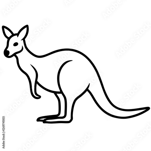kangaroo vector illustration