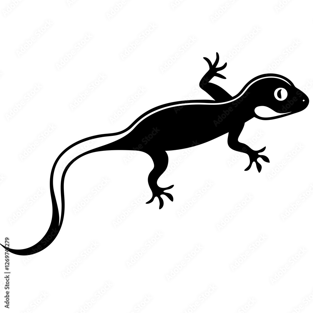 Fototapeta premium lizard on white