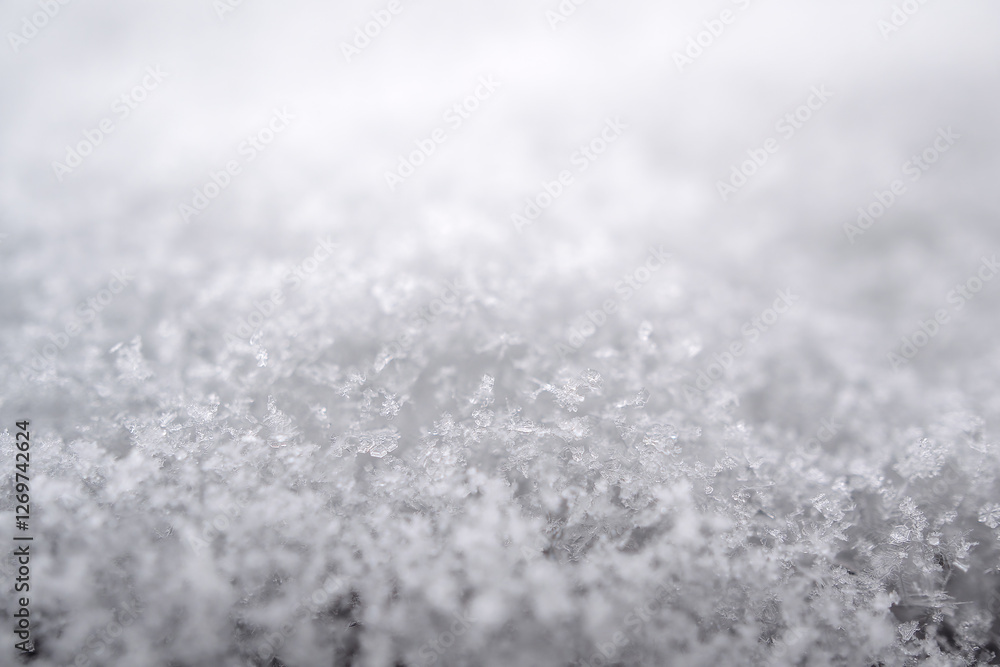 close-up photograph of a snow texture, individual flakes are visible, macro photography taken from different angles and differentiated focus close-up photograph of a snow texture, individual flakes are visible, macro photography taken from different angles and differentiated focus