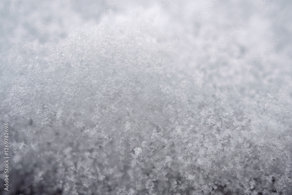 close-up photograph of a snow texture, individual flakes are visible, macro photography taken from different angles and differentiated focus close-up photograph of a snow texture, individual flakes are visible, macro photography taken from different angles and differentiated focus