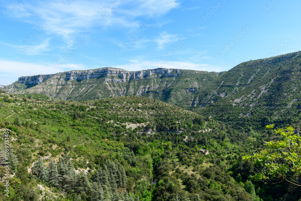 Obraz premium The Navacelles cirque in Europe, France, Occitanie, Herault, Saint Maurice Navacelles, in summer, on a sunny day.