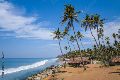 Fototapeta Naklejka Na Ścianę i Meble -  The beach and palm trees in Varkala in Asia, India, Kerala, Varkala, in summer, on a sunny day.