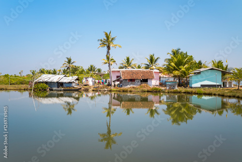 Photography The house on the shore of Astamudi Lake in Munroe Island in Asia, India, Kerala, Munroe Island, in summer, on a sunny day