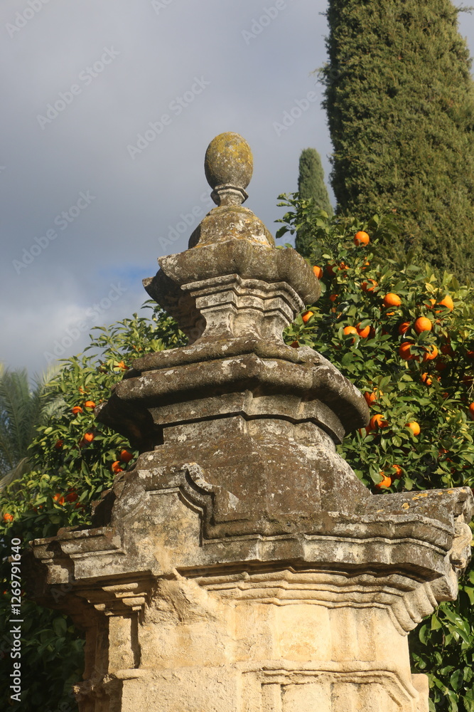 fountain before an orange tree fountain before an orange tree