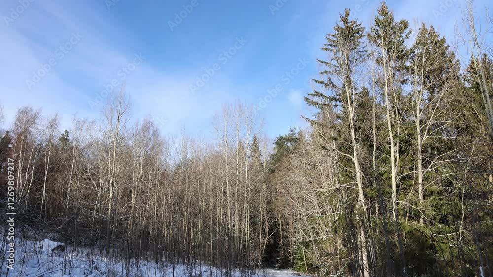 Winter nature during February. Stockholm, Sweden, 2025. Winter nature during February. Stockholm, Sweden, 2025.