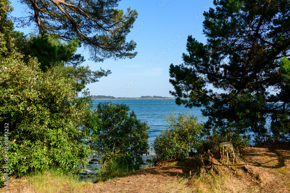 The coastal path on Berder Island in Larmor-Baden in Europe, France, Brittany, Morbihan, Larmor Baden, in summer, on a sunny day. The coastal path on Berder Island in Larmor-Baden in Europe, France, Brittany, Morbihan, Larmor Baden, in summer, on a sunny day.