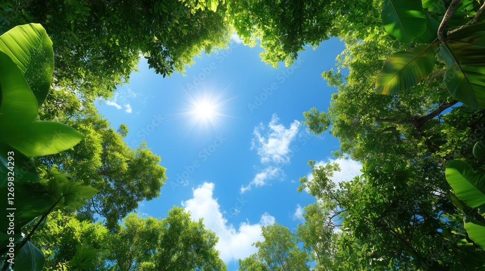 Bright sunlight shines through a dense canopy of green trees, illuminating the clear blue sky with scattered fluffy clouds above in a tranquil forest setting Bright sunlight shines through a dense canopy of green trees, illuminating the clear blue sky with scattered fluffy clouds above in a tranquil forest setting