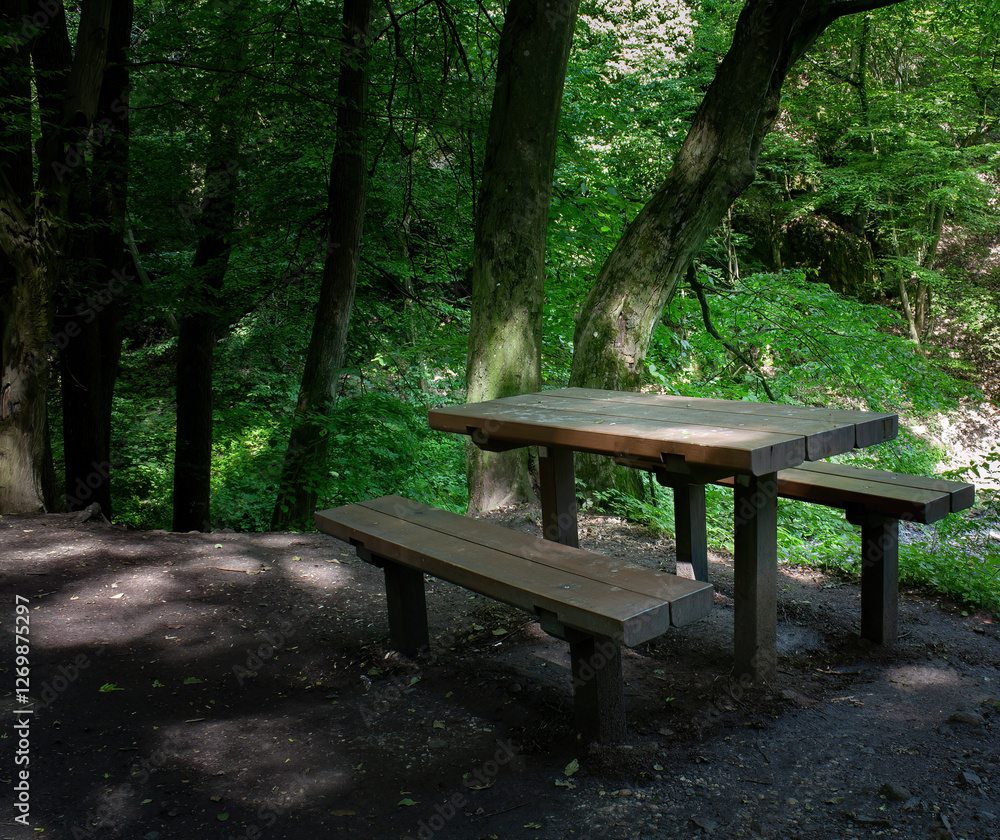 Wooden picnic table in a forest clearing
Wooden picnic table in a forest clearing