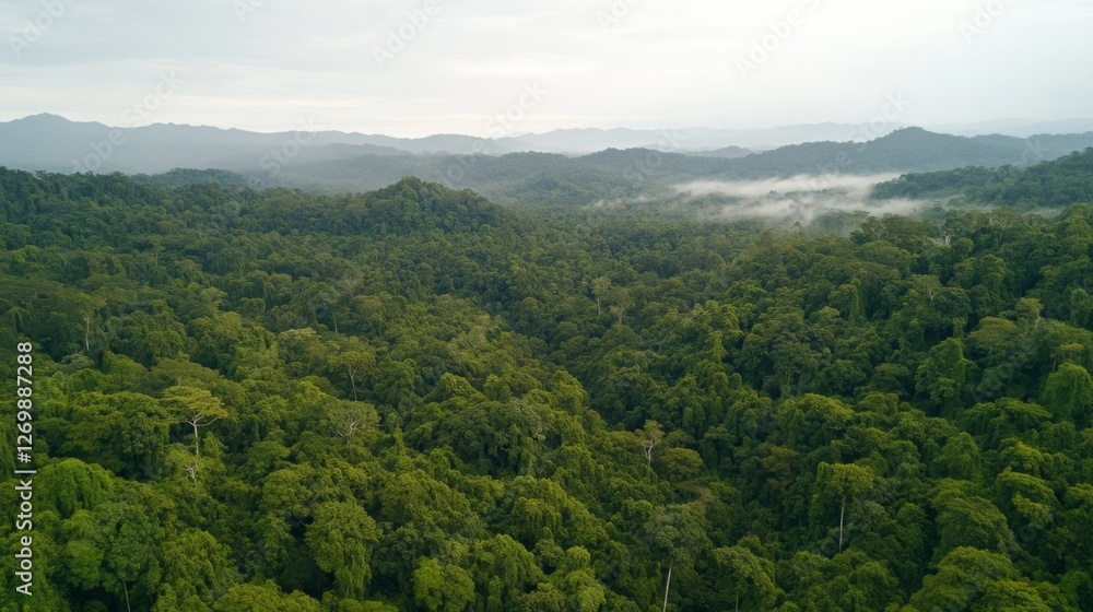Lush Green Forest Landscape with Rolling Hills and Misty Background, Perfect for Nature Themes Lush Green Forest Landscape with Rolling Hills and Misty Background, Perfect for Nature Themes
