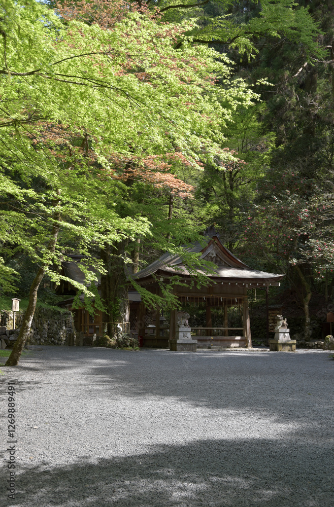 貴船神社 奥院の境内 京都市左京区 貴船神社 奥院の境内 京都市左京区