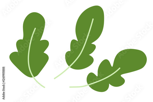 Green arugula leaves. Benefits of greens for nutrition