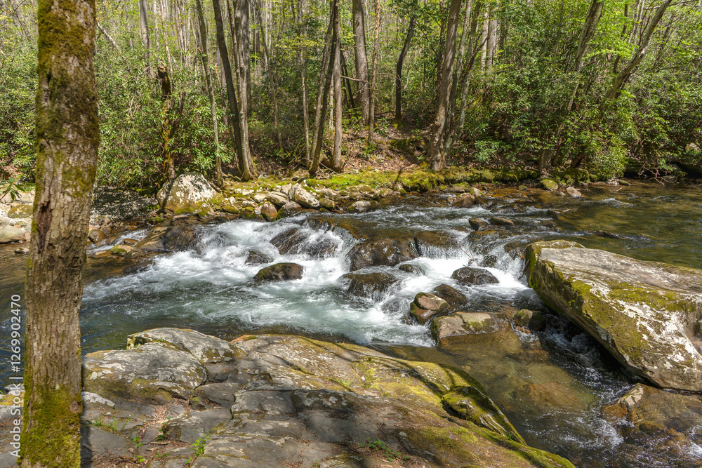 The Little River in the Great Smoky Mountains National Park cascades over the rocks. The Little River is an Outstanding National Resource Waters. View from The Little River Trail. The Little River in the Great Smoky Mountains National Park cascades over the rocks. The Little River is an Outstanding National Resource Waters. View from The Little River Trail.