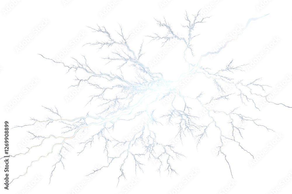 Obraz premium snow covered branches