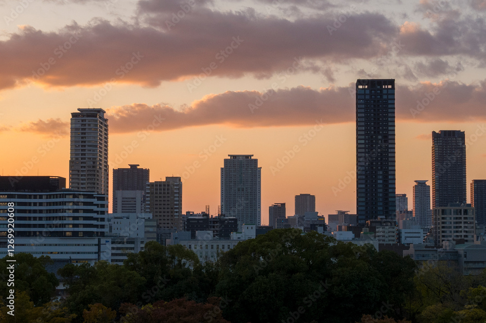 Fototapeta premium The night city view in Osaka in Asia, Japan, Kansai, Osaka, in summer, on a sunny day.