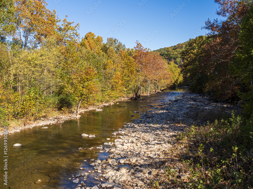 Stream near Seneca Rocks, West Virginia, on sunny day with trees in fall colors Stream near Seneca Rocks, West Virginia, on sunny day with trees in fall colors