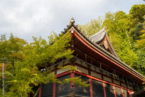 Wallpaper Mural The Zenrinjiamidado in the Zenrinji in Kyoto in Asia, Japan, Kansai, Kyoto, in summer, on a sunny day. Torontodigital.ca