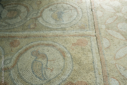 Floor mosaics from Byzantine times VI AD. They depicting walking birds, geometric ornaments and stylized fruits. Authors are unknown photo