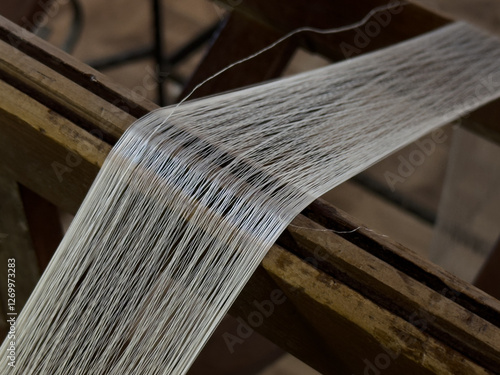 cocoons of white silkworms bred to produce silk , raw silk 