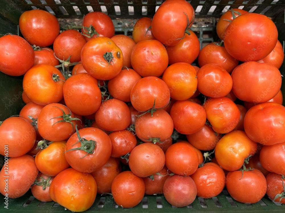 Fresh tomatoes in containers on shelf of supermarket Fresh tomatoes in containers on shelf of supermarket