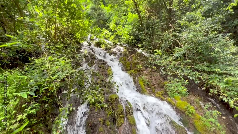 waterfall in the forest waterfall in the forest