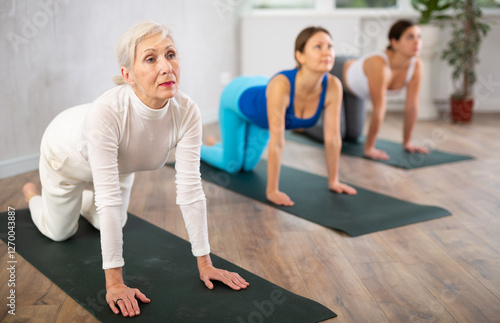 Elderly woman practicing group yoga, doing cat cow pose Chakravakasana increasing flexibility of neck, shoulders and spine. Concept of healthy active lifestyle of aged adults.. photo