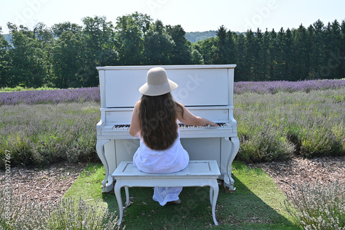 Cuadro en lienzo girl in white dress on lavender field sits with her back to piano,