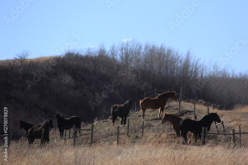 Wallpaper Mural Saskatchewan Scenery Qu'Appelle Valley area Torontodigital.ca