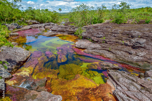 Cano Cristales river in Colombia