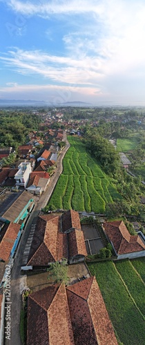 aerial view of the city