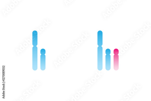 XYY Syndrome Science Design. Vector Illustration.