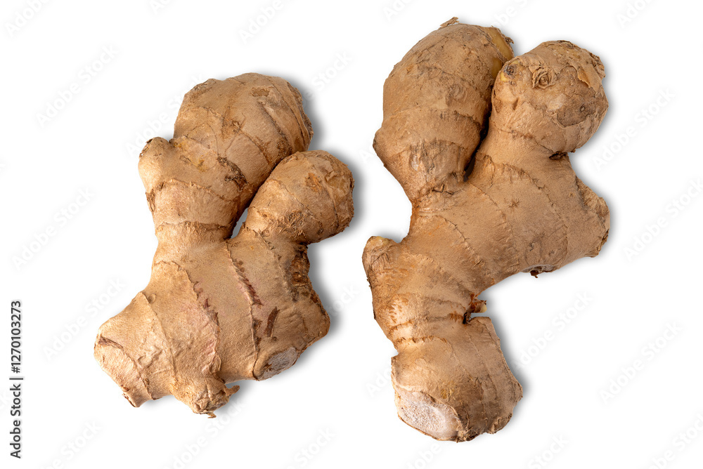 Ginger root isolated on white with clipping path included
