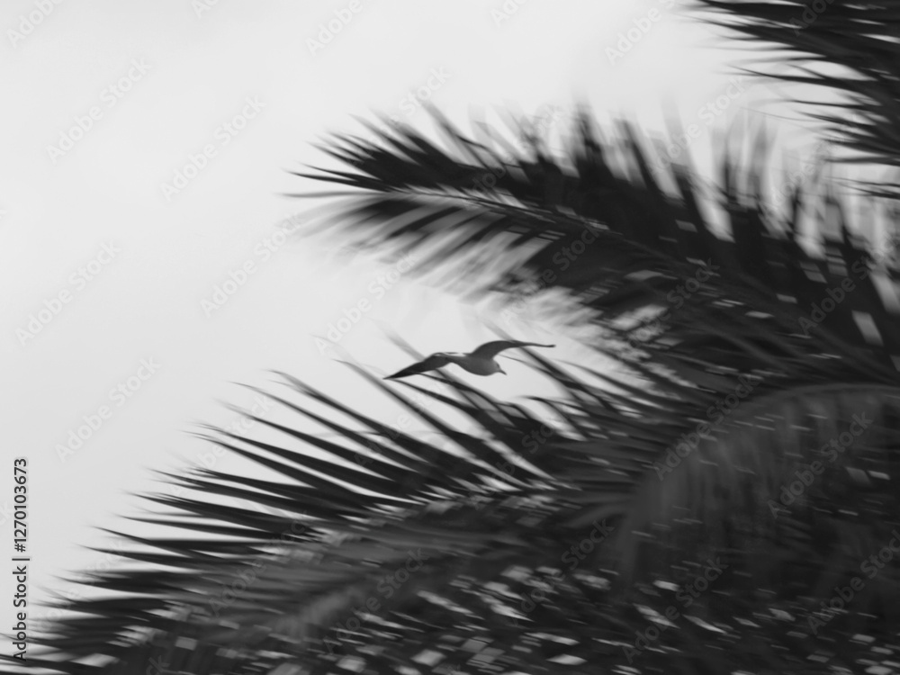 Obraz premium Composición de gaviota y palmeras