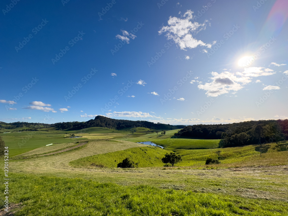 Fototapeta premium Green valley view on sunny morning in australia - perfect for wallpaper- backgrounds