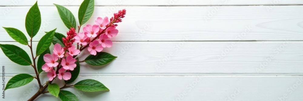 Fototapeta premium Pink Gebera branches with lush green leaves on a white wooden background, decorative, botanical, leaf