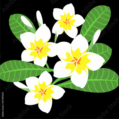 vector illustration of white frangipani flowers and leaves