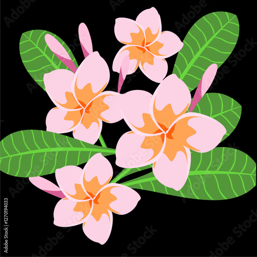 vector illustration of pink frangipani flowers and leaves