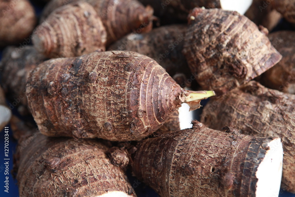 Fototapeta premium Taro root for sale at Hawaii farmers market, Oahu