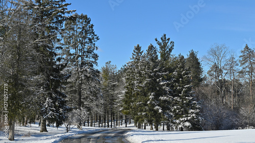 Picturesque scenery of a country road with freshly fallen snow in the winter.