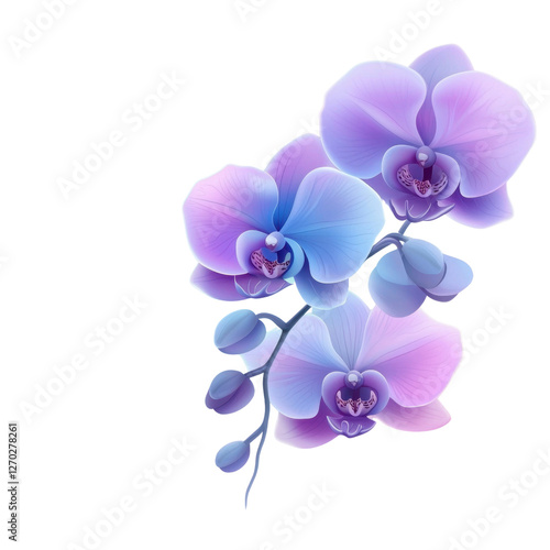 Wallpaper Mural Elegant Blue and Purple Orchid Flowers on a Black Background Torontodigital.ca