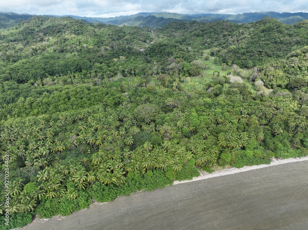Matapalo Beach Costa Rica, rainforest paradise aerial