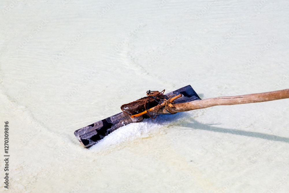 Asia, South Asia, India. Great Rann of Kutch, salt marsh in Thar Desert. One of the largest salt deserts in the world. Harvesting salt.